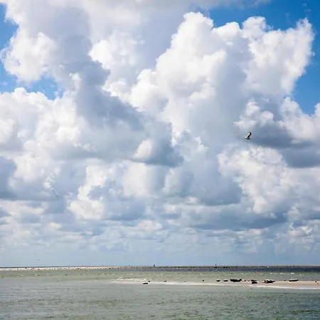 Kei 2 Personen - Zeezand Recreatie *