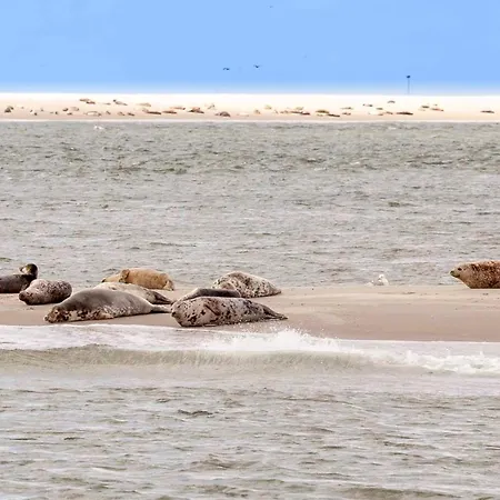 Kei 2 Personen - Zeezand Recreatie Appartement Stolpen