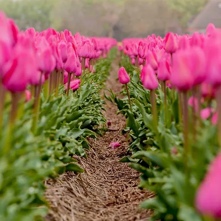 Appartement Kei 2 Personen - Zeezand Recreatie