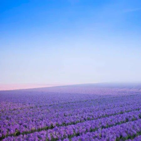 Kei 2 Personen - Zeezand Recreatie *