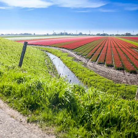 Kei 2 Personen - Zeezand Recreatie